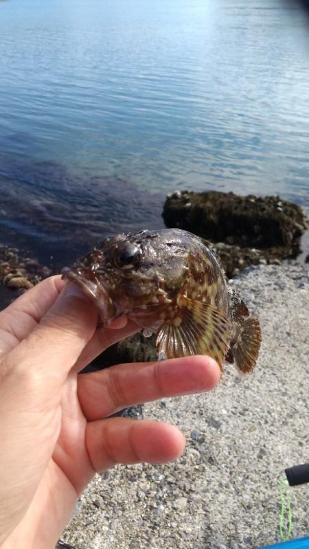 釣り納めかな？