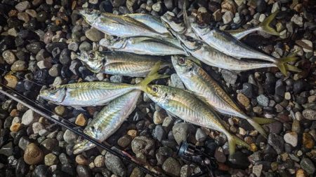 フロートアジングでギガアジ