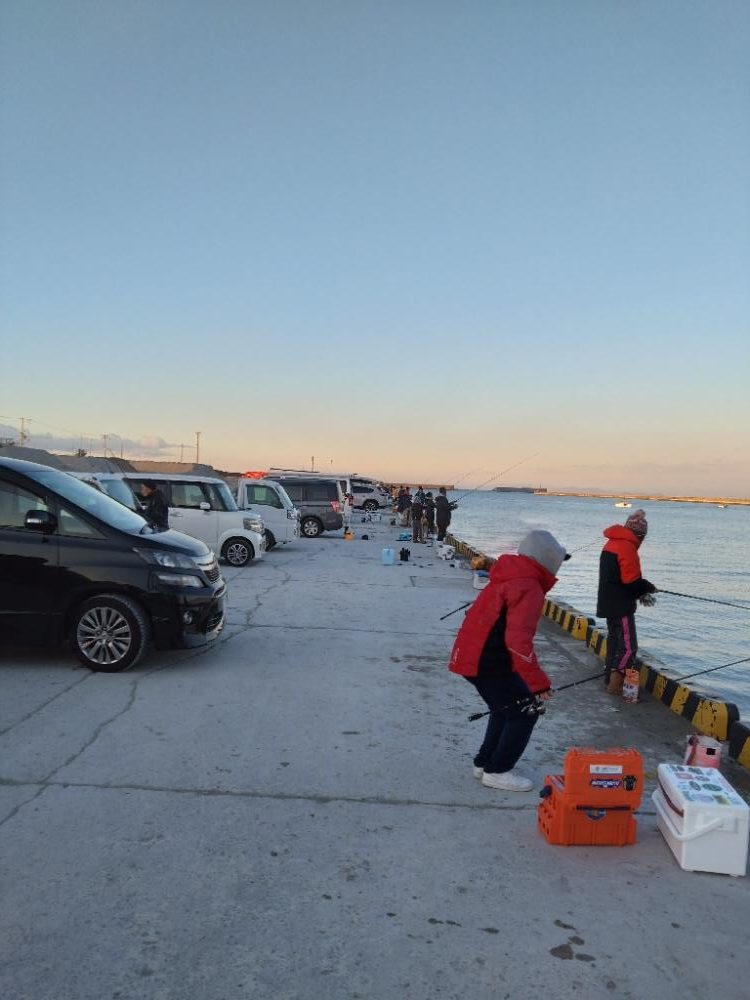 アジが入れ食い