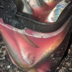 釣り納め フロートアジング