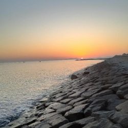 前回いい思いをしたので☺️