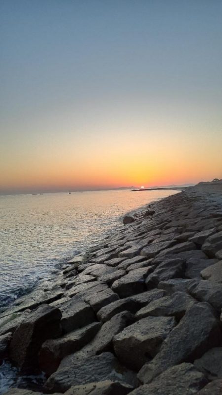 前回いい思いをしたので☺️