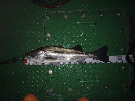 久しぶりの70オーバー