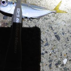 バイシクルアジング