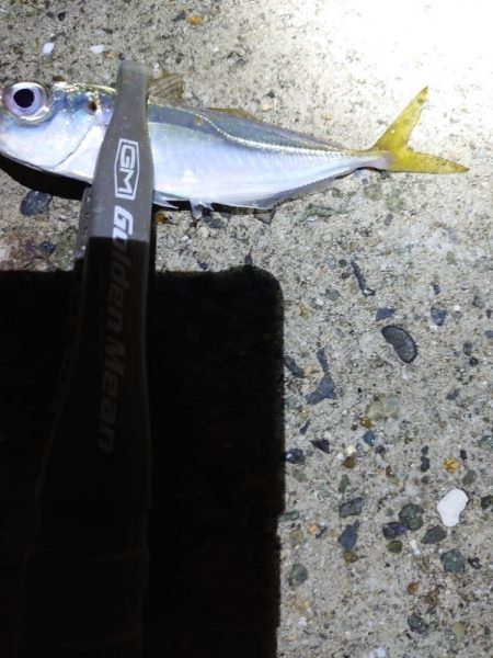 バイシクルアジング