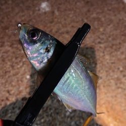 不完全燃焼！？