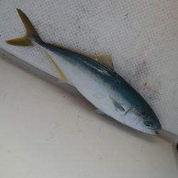 今年最後のボート釣り