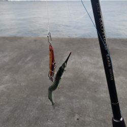 夜明け前から日没までキャスト