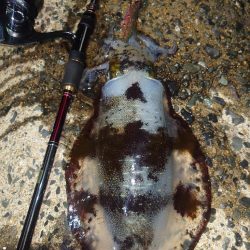 キロアップIN対馬