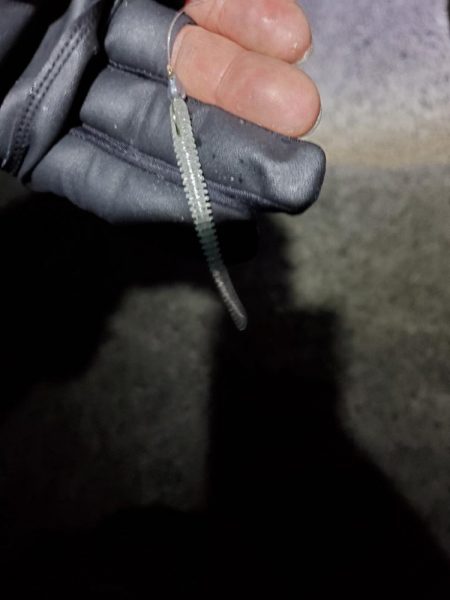 下津~湯浅間アジング情報提供します。