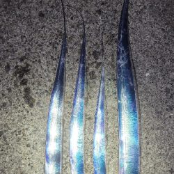 おいでませ指4本