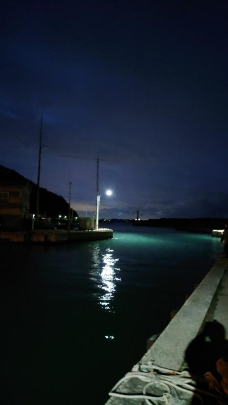 サイズupを狙ってみましたが