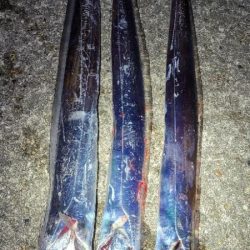 寒波前の釣り収め