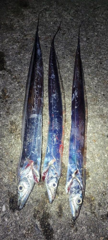 寒波前の釣り収め