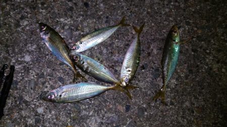 活性が低くなったようです。