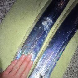 来たらデカい!というやつ