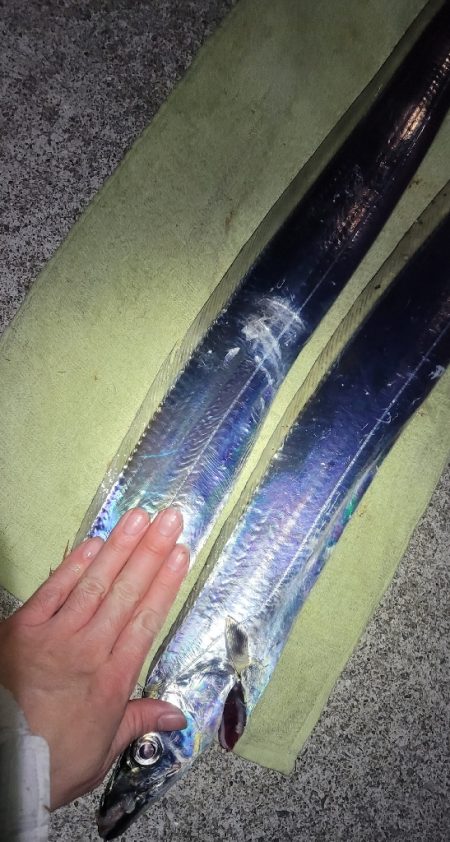 来たらデカい!というやつ