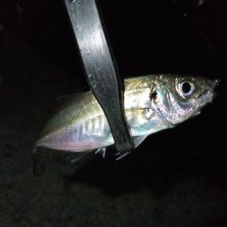 なんとかツ抜け