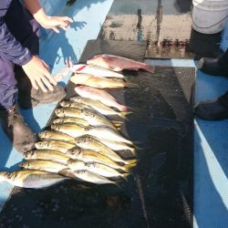 船上お祭り騒ぎ