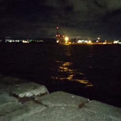 アジが食べたくなって