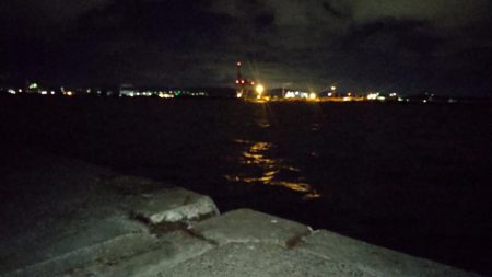 アジが食べたくなって