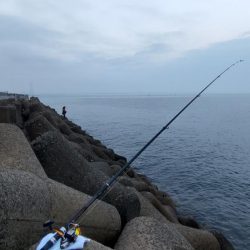 年納めの座布団