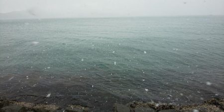 サゴシはそろそろ終了かな・・・