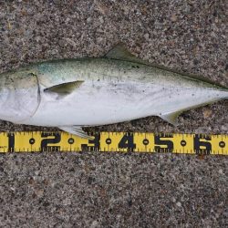 2023播磨詣第3回