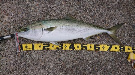 2023播磨詣第3回