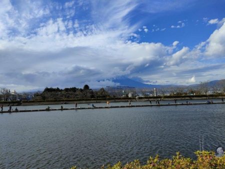 激渋の原因はターンオーバー？