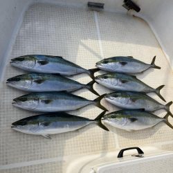 たかたかの釣り日記