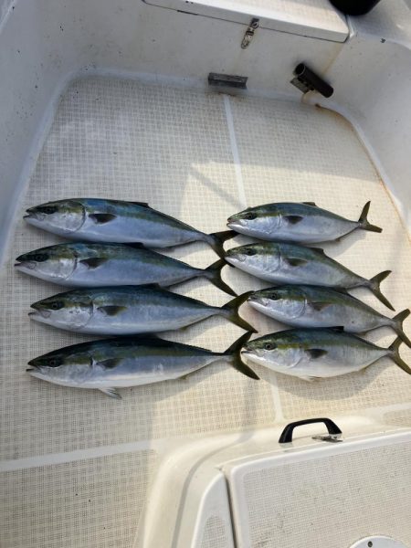 たかたかの釣り日記