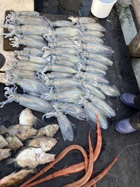 たかたかの釣り日記