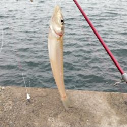 近場のキスが厳しくなりました