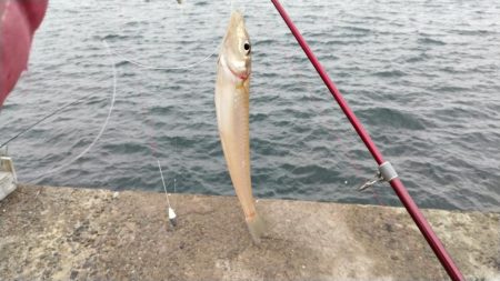 近場のキスが厳しくなりました