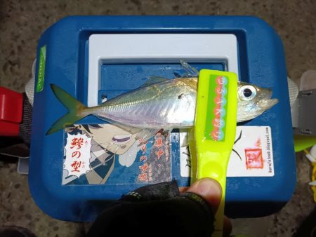 2023/12/09 南港ライトゲーム釣行 (アジ狙い)