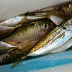 いい意味でいつも通りです