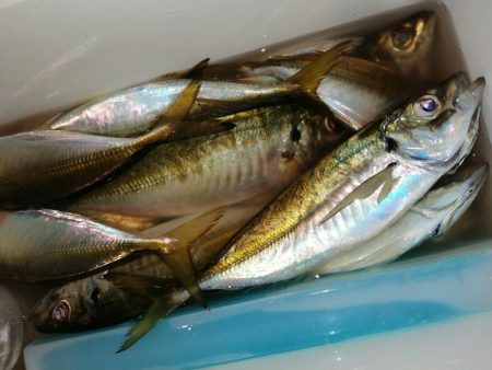 いい意味でいつも通りです