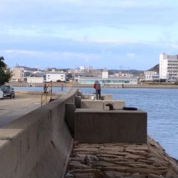 淡路島ランガン釣行