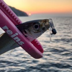 スーパーゼンゴ