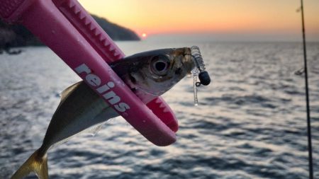 スーパーゼンゴ