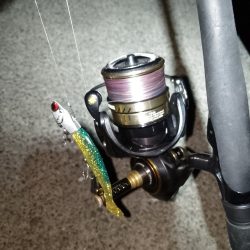 釣り納め…かな？