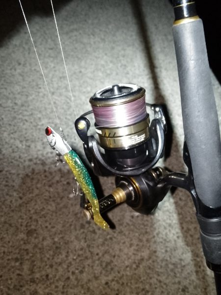 釣り納め…かな？