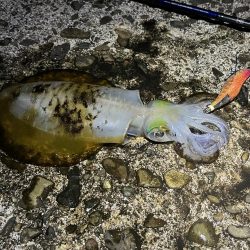 久しぶりのジェット噴射の感覚