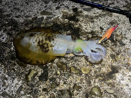 久しぶりのジェット噴射の感覚