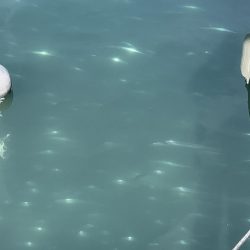 デイ太刀魚爆沸き継続中!