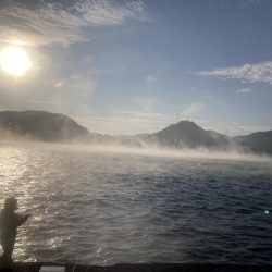 釣り納めはペンペン祭り