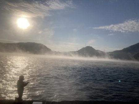 釣り納めはペンペン祭り