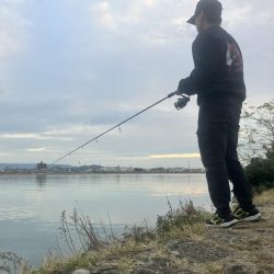 美味しいサイズ