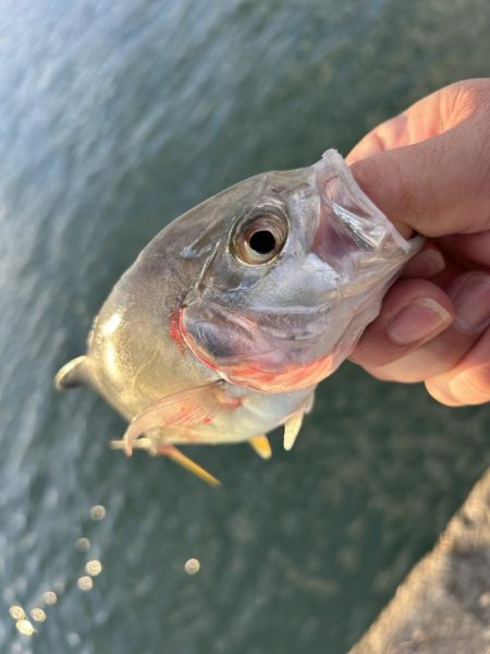 寒くてもメッキ！